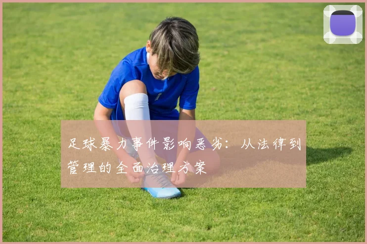 足球暴力事件影响恶劣：从法律到管理的全面治理方案
