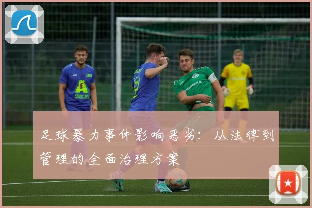 足球暴力事件影响恶劣：从法律到管理的全面治理方案