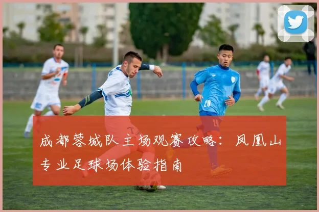 成都蓉城队主场观赛攻略：凤凰山专业足球场体验指南